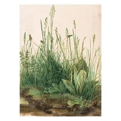 Reprodukció The Great Piece of Turf (1503), Albrecht Dürer