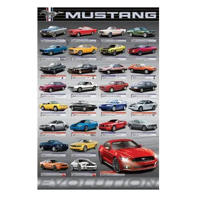 Plakát Ford Mustang Evolution