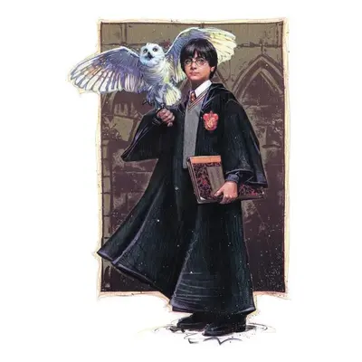 Művészi plakát Harry Potter with Hedvig - Art