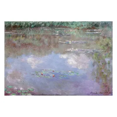 Reprodukció Tavirózsák, Claude Monet