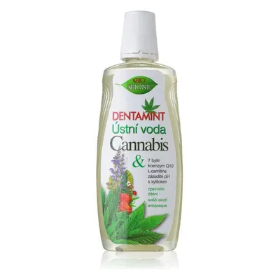 BC Bione Cosmetics Dentammint szájvíz Cannabis 500 ml