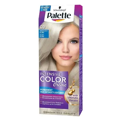 PALETTA ICC SILVER FLUID 9,5-1