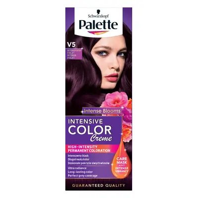 PALETTA ICC INTENZÍV VIOLET 6-99 V5