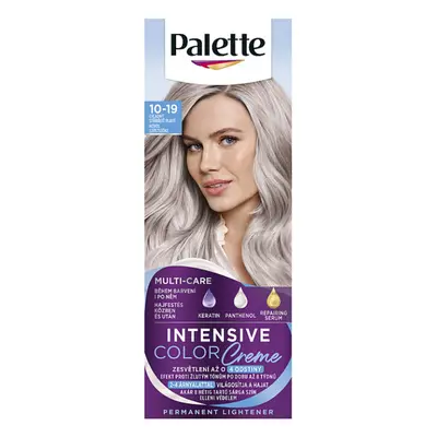 PALETTE ICC Cool ezüstszőke 10-19