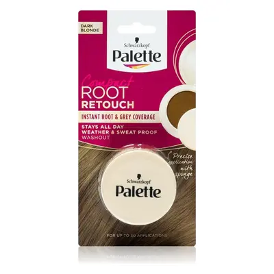 Schwarzkopf Palette Compact Root Retouch hajkorrekció sötétszőke 3 g