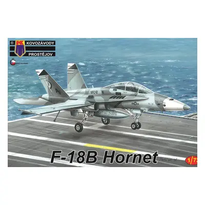 ZBYTKY - F-18B Hornet