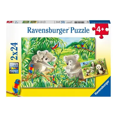 RAVENSBURGER - Aranyos koalák és pandák 2X24 db