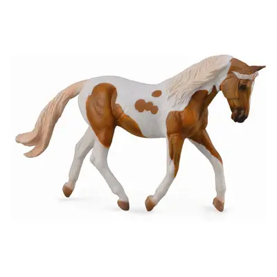 COLLECTA - Palomino csikó