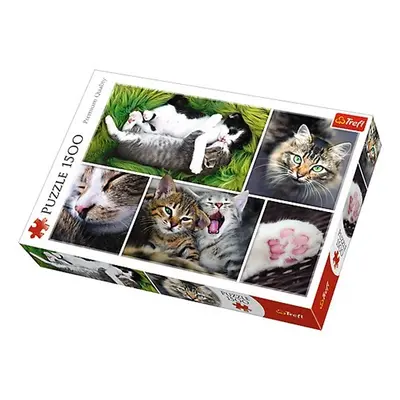 TREFL - Puzzle Cats Kollázs 1500