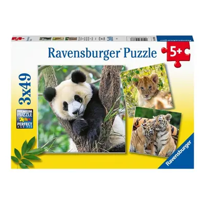 RAVENSBURGER - Panda, tigris és oroszlán 3x49 darab