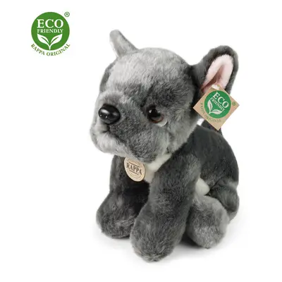 RAPPA - Plüss francia bulldog ülve 26 cm ECO-FRIENDLY