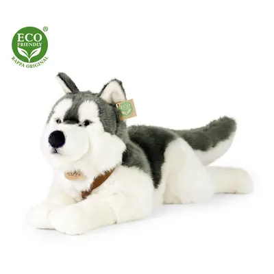 RAPPA - Plüss husky kutya nyakörvvel fekvő 60 cm ECO-FRIENDLY