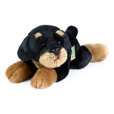 RAPPA - Rottweiler plüss kutya fekvő 30 cm ECO-FRIENDLY