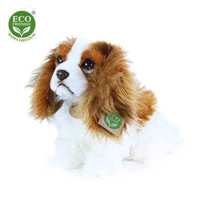 RAPPA - Plüss kutya king charles spániel 25 cm ECO-FRIENDLY