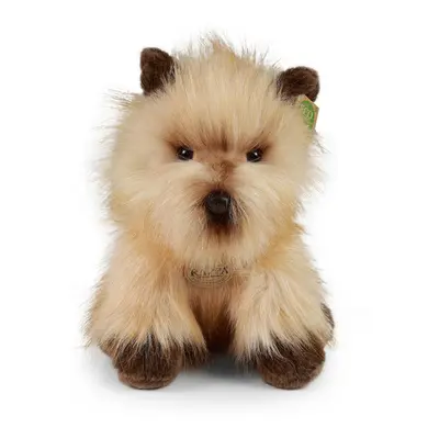 RAPPA - Plüss kutya cairn terrier 30 cm ECO-FRIENDLY