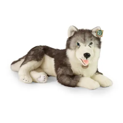 RAPPA - Plüss husky kutya fekvő 60 cm ECO-FRIENDLY