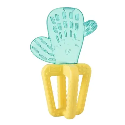 CHICCO - Cool Cactus Fresh Teether 4m+