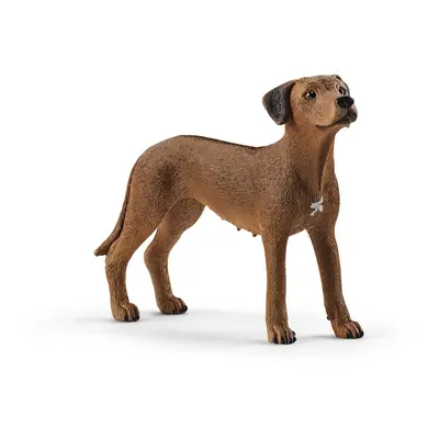 SCHLEICH - Állat - rodéziai ridgeback kutya