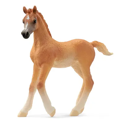 SCHLEICH - Állat - arab csikó