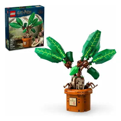 LEGO - Harry Potter 76433 Mandragora