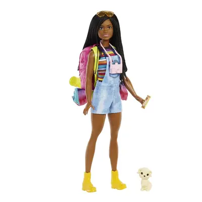 MATTEL - Barbie Dha kemping brooklyni baba