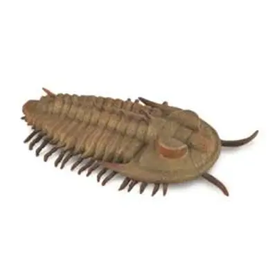 MAC TOYS - Redlichia Rex Trilobita