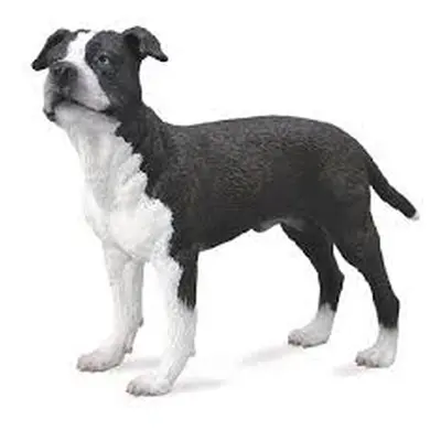 MAC TOYS - Amerikai staffordshire terrier