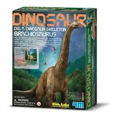 MAC TOYS - Dinoszaurusz csontváz - Brachiosaurus