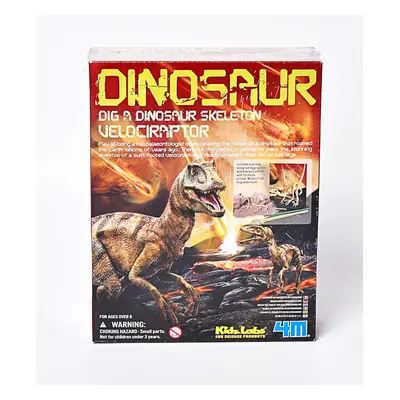 MAC TOYS - Dinoszaurusz csontváz - Velociraptor