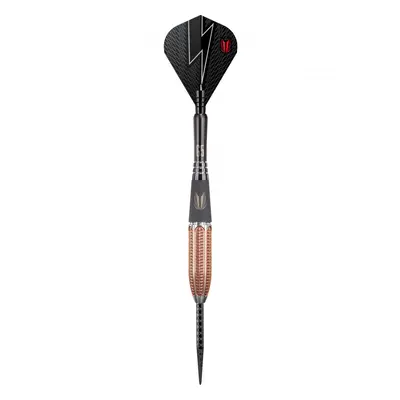 Darts szett TARGET steel 26g Phil TaylorPower 9five Gen5 95%