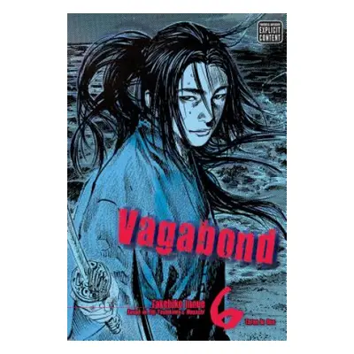 Vagabond (VIZBIG Edition), Vol. 6