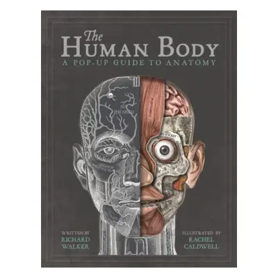 The Human Body