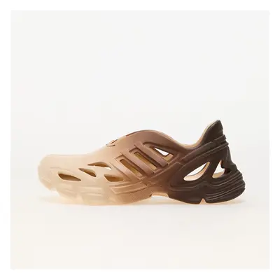 Sneakers adidas Adifom Supernova Sand Strata/ Sand Strata/ Earth Strata