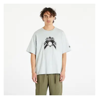 Póló adidas Originals Graphic Tee Wonder Silver