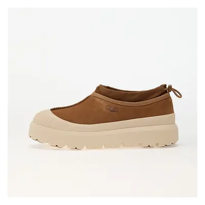 Sneakers UGG M Tasman Weather Hybrid Chestnut/ Whitecap