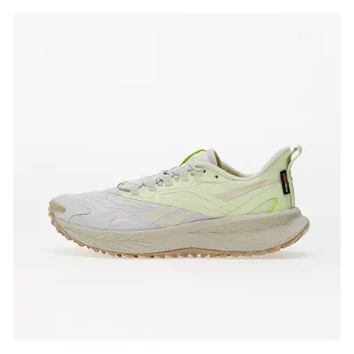 Sneakers Reebok Floatride Energy 5 Adventure Stefog/ Stucco/ Citglo