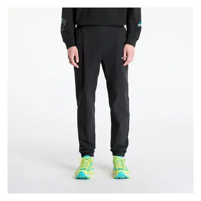 Nadrágok adidas Terrex Xperior Light Pants Black