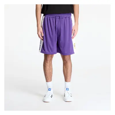 New Era Los Angeles Lakers NBA Graphic Mesh Shorts True Purple