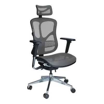 Ergonomikus irodai forgószék Business, szürke