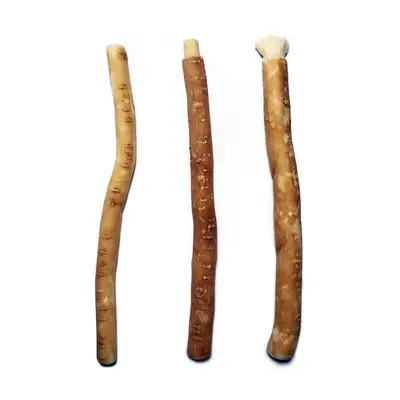 Természetes fogkefe- miswak