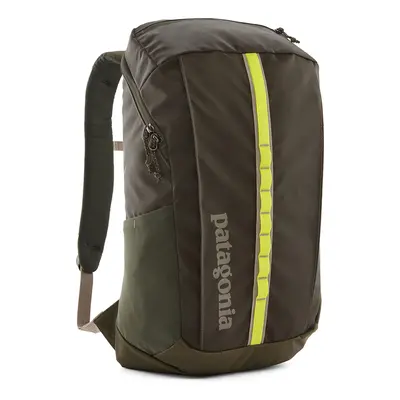 Patagonia Black Hole Pack 25L Városi hátizsák - pine needle green