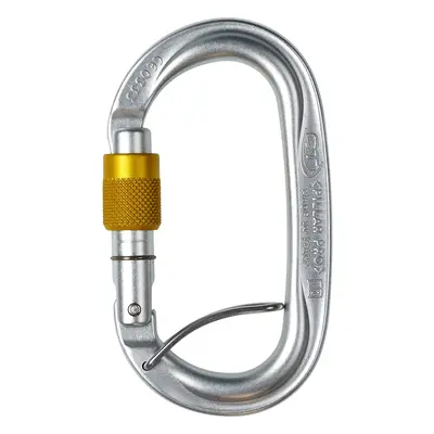 Climbing Technology Pillar Pro SGL Csavaros Karabiner - silver