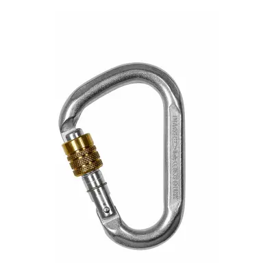 Climbing Technology Snappy Steel CF SG Karabiner - zinc plated