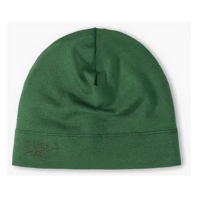 Arcteryx Rho Lightweight Wool Toque Sapka - eden