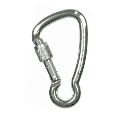 Climbing Technology Key SG Karabiner - silver