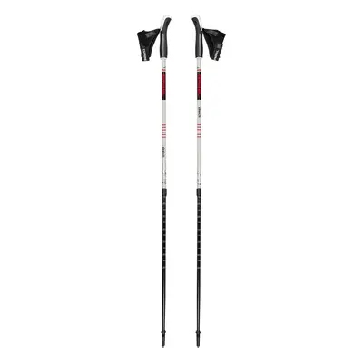 Gabel Stretch Ice Nordic walking bot