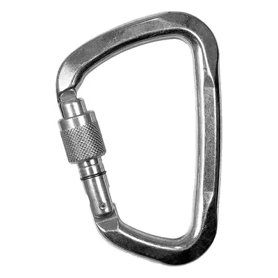 Climbing Technology Large CF SG Karabiner - silver