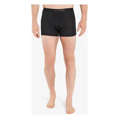 Icebreaker Merino Cool-Lite Anatomica Boxers Termoaktív boxeralsó - black