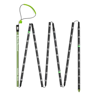 Black Diamond Quickdraw Pro Probe Lavinaszonda - green