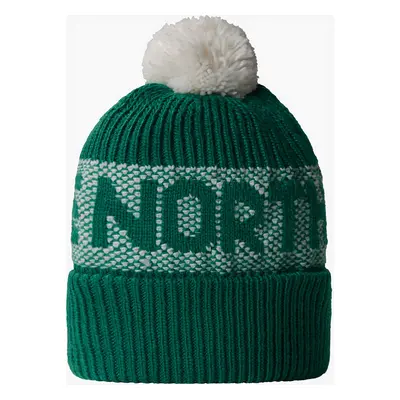 The North Face Retro Cabin Beanie Téli sapka - evergreen/white dune